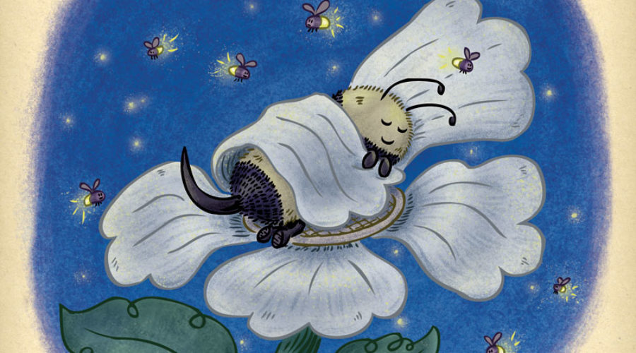 Cute bee spends the night sleeping on a flower under the glow of flickering fireflies.