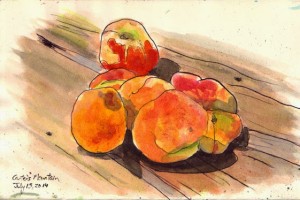 Carter’s Mountain Orchard Peaches