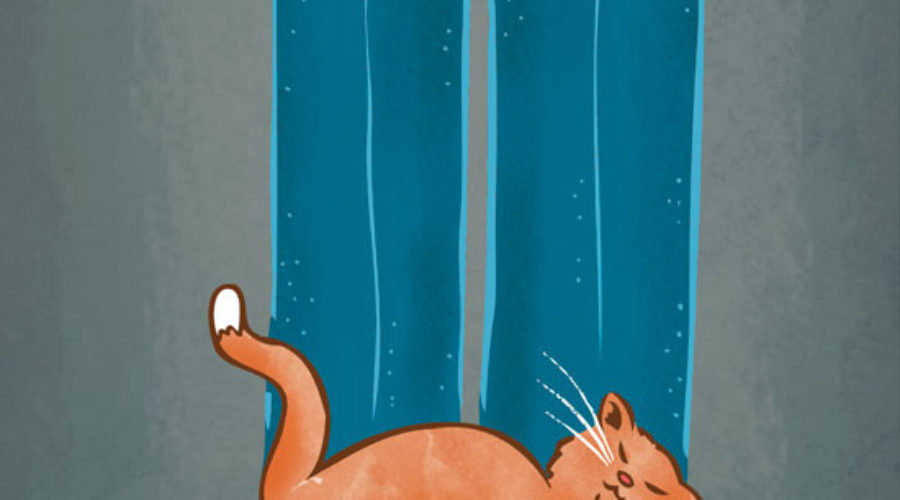 Pet Me! illustrated by Scott DuBar