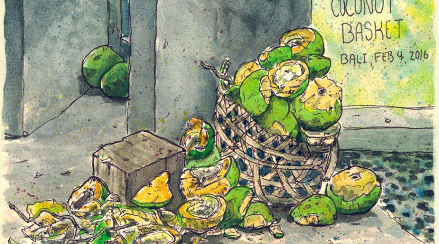 Scott-DuBar-Bali-Coconut-sketch